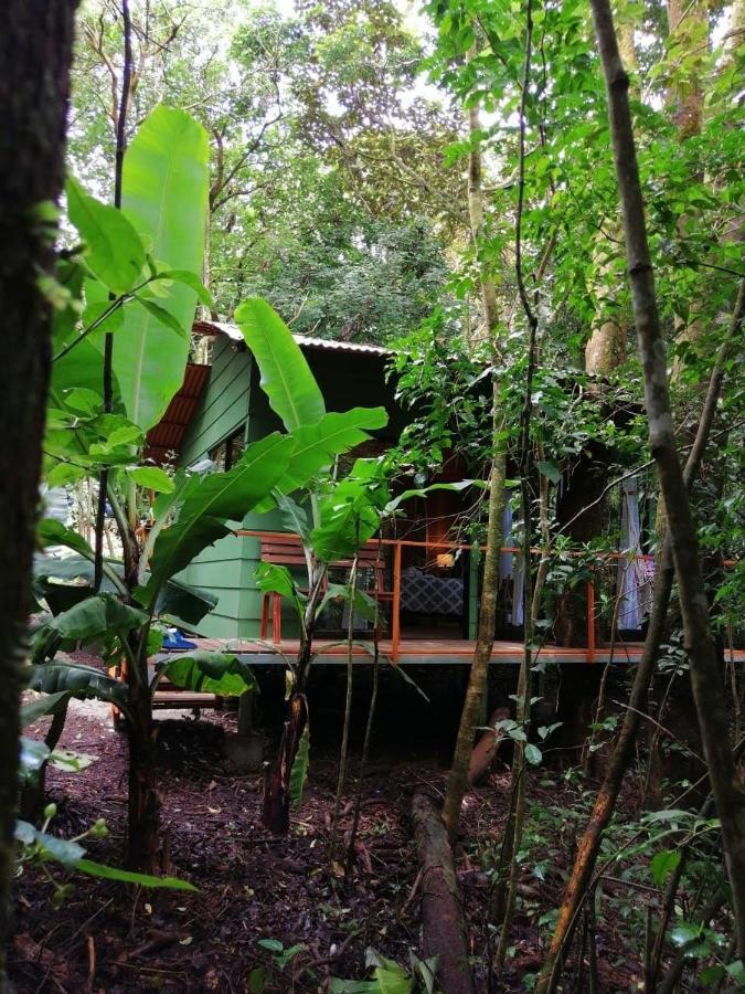 Tree Houses Bosque Nuboso Monteverde Exterior foto