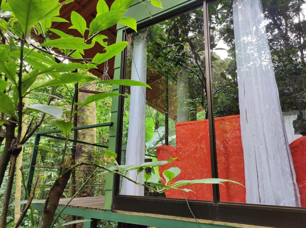 Tree Houses Bosque Nuboso Monteverde Exterior foto